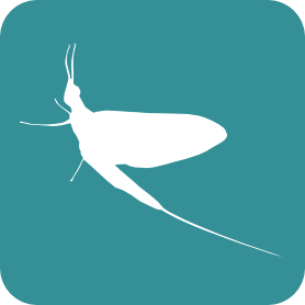 Ephemeroptera logo