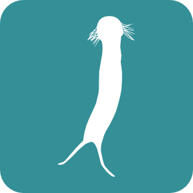 Gastrotricha logo