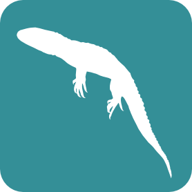 Vertebrates-Reptilia-Lacertilia logo