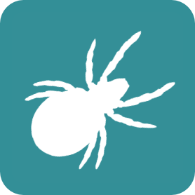 Arachnida-Acari-Oribatida logo