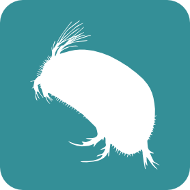 Crustacea-Ostracoda logo